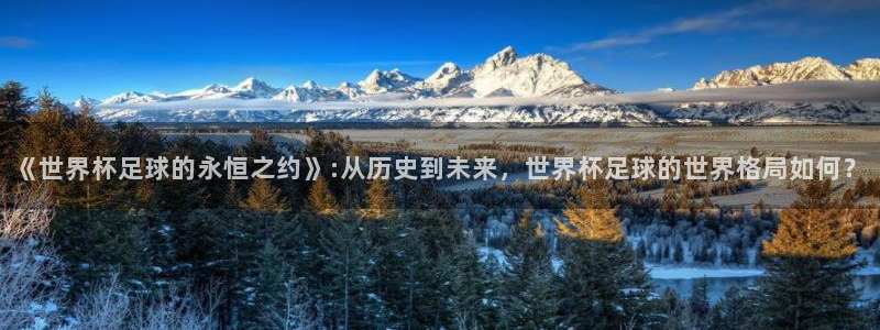 《世界杯足球的永恒之约》:从历史到未来，世界杯足球的世界格局如何？