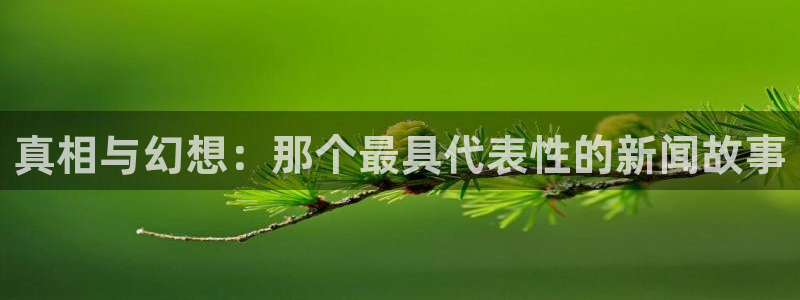 真相与幻想：那个最具代表性的新闻故事