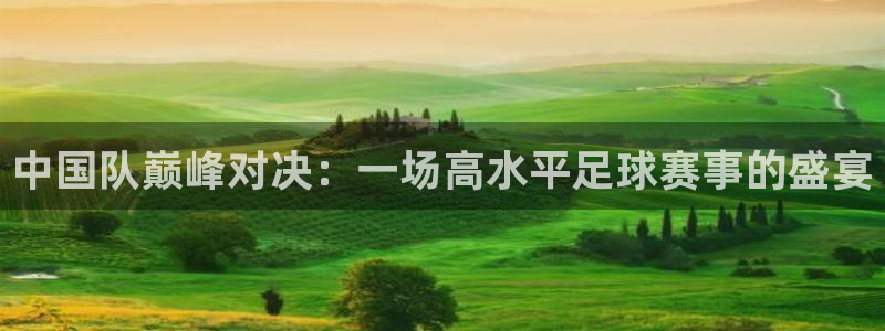 中国队巅峰对决：一场高水平足球赛事的盛宴