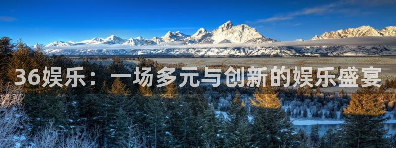 36娱乐：一场多元与创新的娱乐盛宴