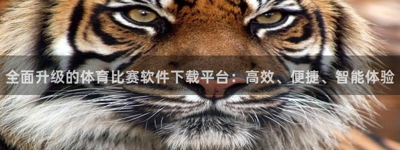 全面升级的体育比赛软件下载平台：高效、便捷、智能体验