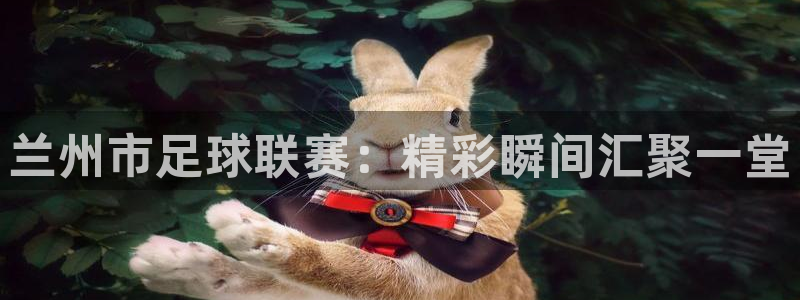 兰州市足球联赛：精彩瞬间汇聚一堂