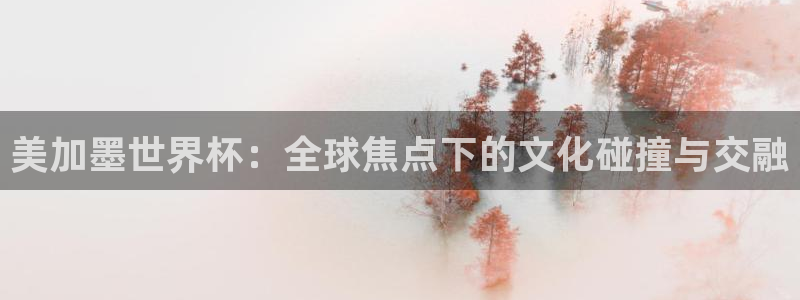 美加墨世界杯：全球焦点下的文化碰撞与交融
