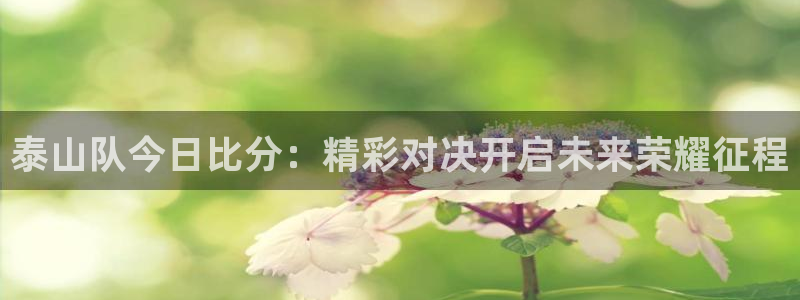 泰山队今日比分：精彩对决开启未来荣耀征程