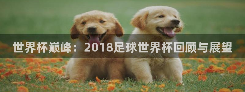 世界杯巅峰：2018足球世界杯回顾与展望