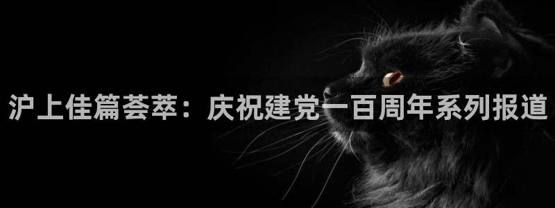 沪上佳篇荟萃：庆祝建党一百周年系列报道