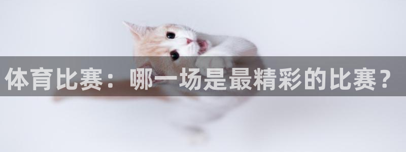体育比赛：哪一场是最精彩的比赛？