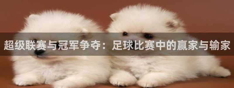 超级联赛与冠军争夺：足球比赛中的赢家与输家