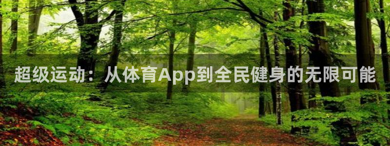 超级运动：从体育App到全民健身的无限可能